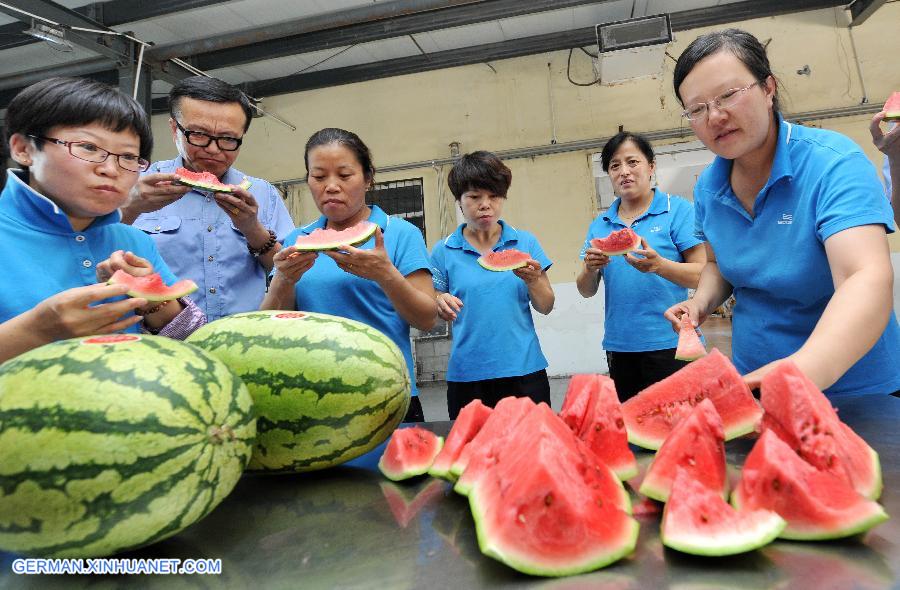 CHINA-NINGXIA-RAILWAY WORKER-SUMMER LIFE (CN)