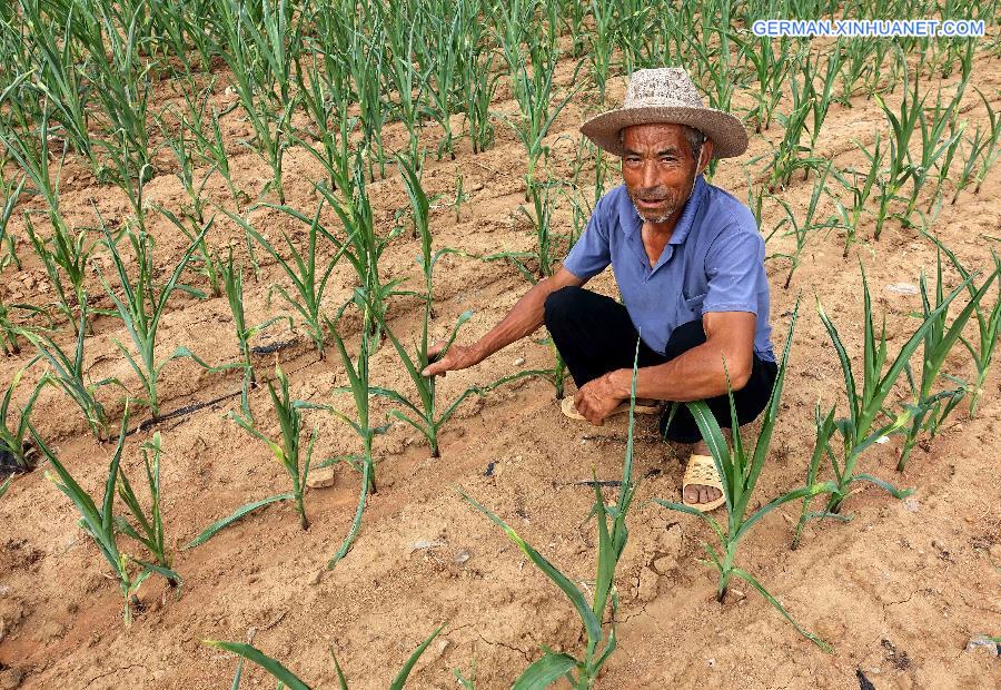 #CHINA-SHANDONG-DROUGHT (CN)