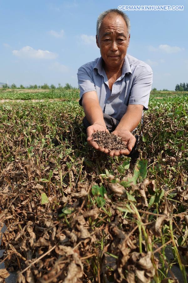 #CHINA-SHANDONG-DROUGHT (CN)