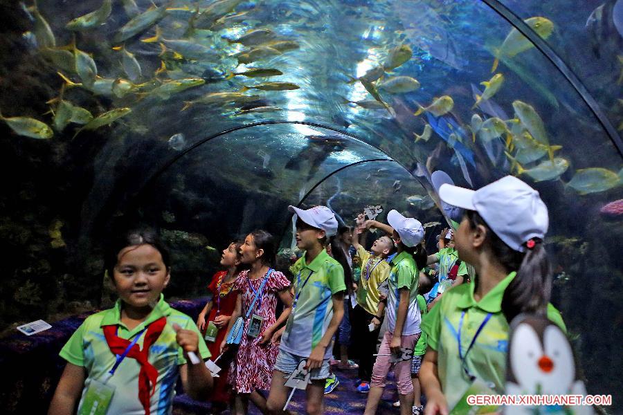 Fische Ausserhalb Des Aquariums Xinhua German Xinhuanet Com