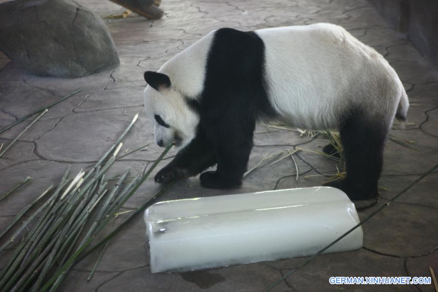 #CHINA-ZHEJIANG-NINGBO-ANIMALS-HEAT(CN)