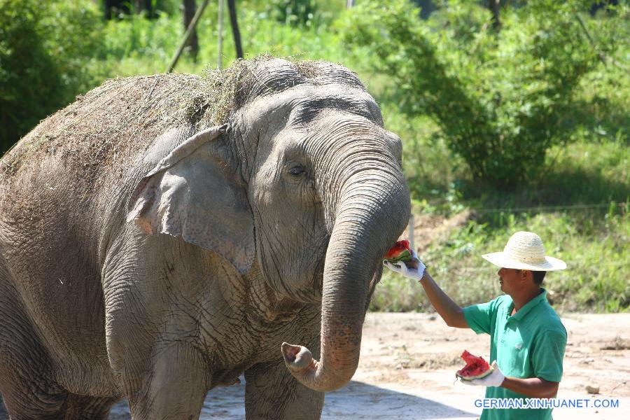 #CHINA-ZHEJIANG-NINGBO-ANIMALS-HEAT(CN)