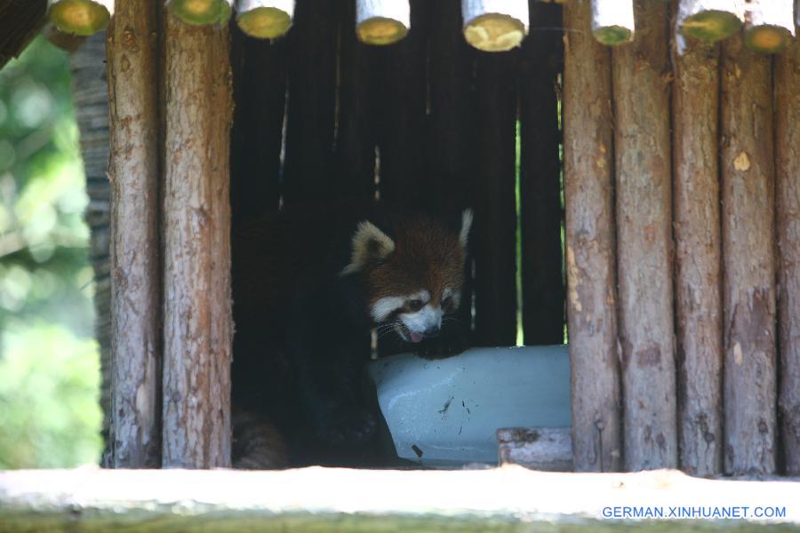 #CHINA-ZHEJIANG-NINGBO-ANIMALS-HEAT(CN)