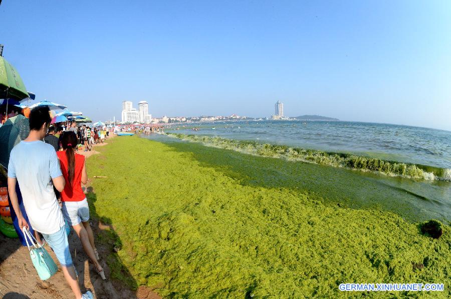 CHINA-SHANDONG-QINGDAO-GREEN ALGAE(CN)