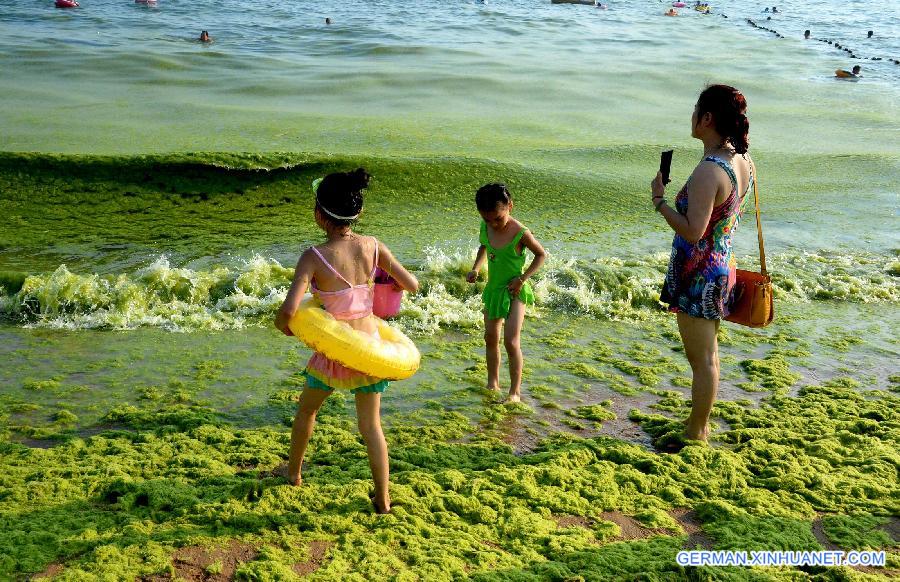 CHINA-SHANDONG-QINGDAO-GREEN ALGAE(CN)