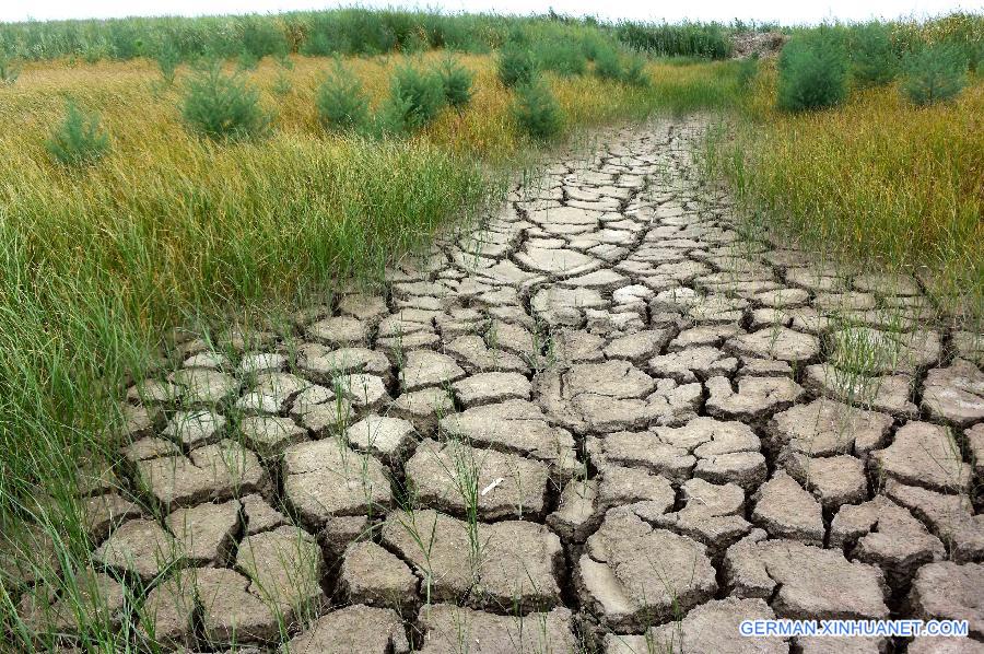 CHINA-TIANJIN-BEIDAGANG RESERVOIR-DROUGHT (CN)