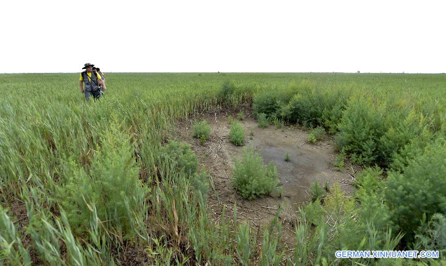 CHINA-TIANJIN-BEIDAGANG RESERVOIR-DROUGHT (CN)