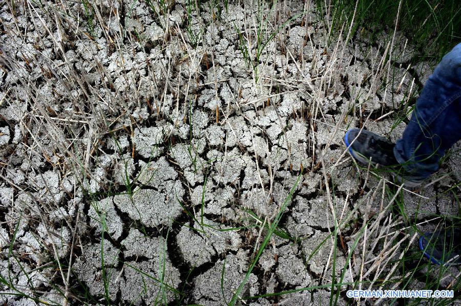 CHINA-TIANJIN-BEIDAGANG RESERVOIR-DROUGHT (CN)