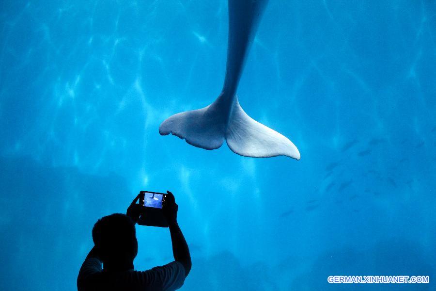 #CHINA-TIANJIN-AQUARIUM-NIGHT (CN)