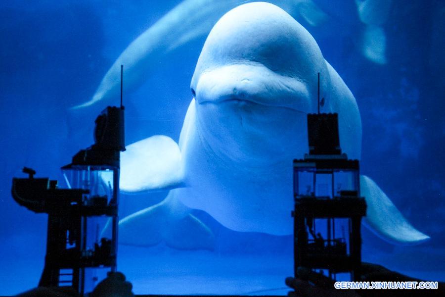 #CHINA-TIANJIN-AQUARIUM-NIGHT (CN)
