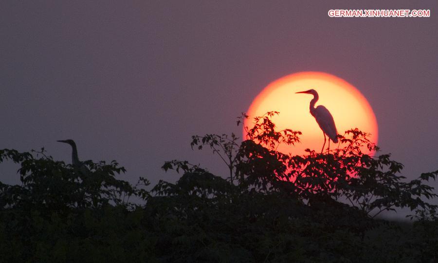 #CHINA-JIANGXI-EGRET (CN)