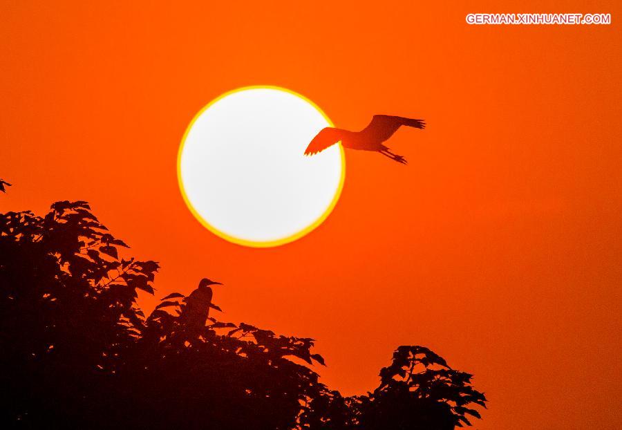 #CHINA-JIANGXI-EGRET (CN)