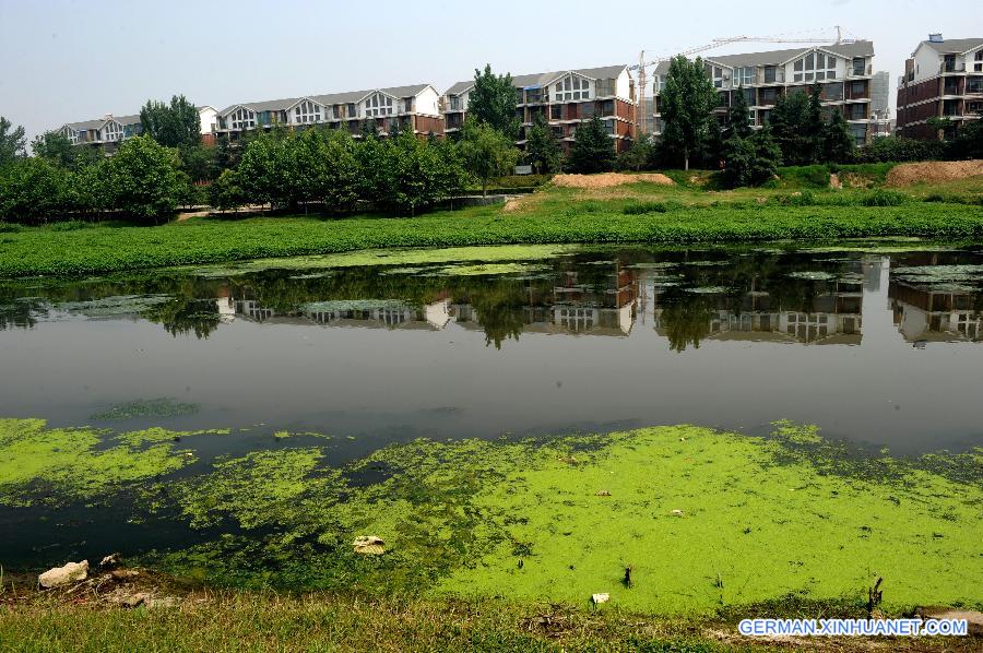 CHINA-HENAN-ZHENGZHOU-RIVER POLLUTION (CN)