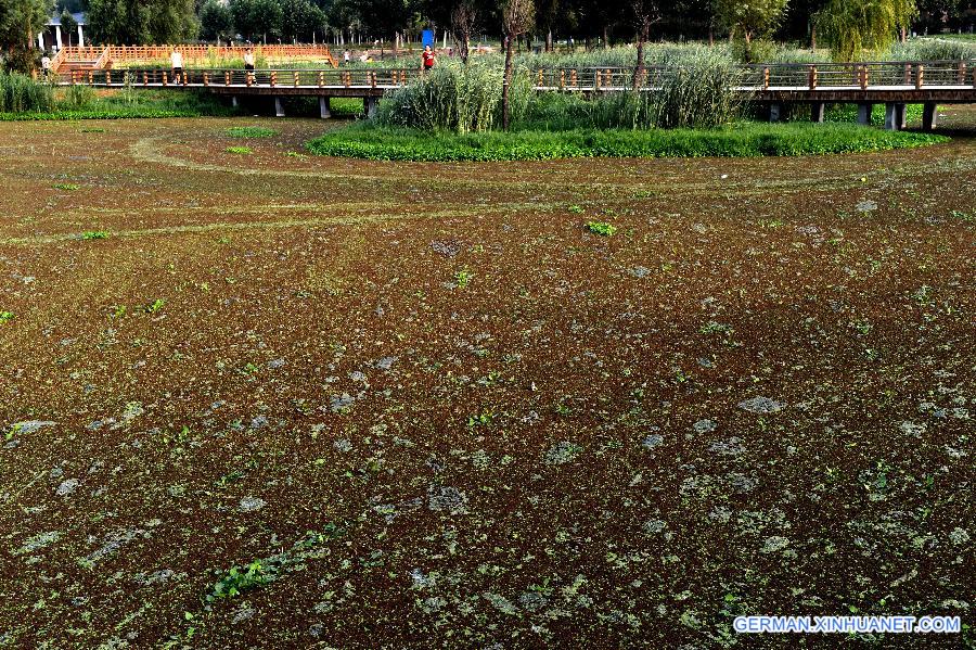 CHINA-HENAN-ZHENGZHOU-RIVER POLLUTION (CN)