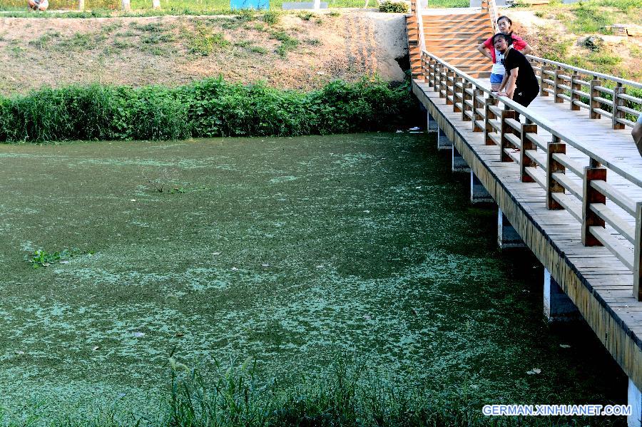 CHINA-HENAN-ZHENGZHOU-RIVER POLLUTION (CN)