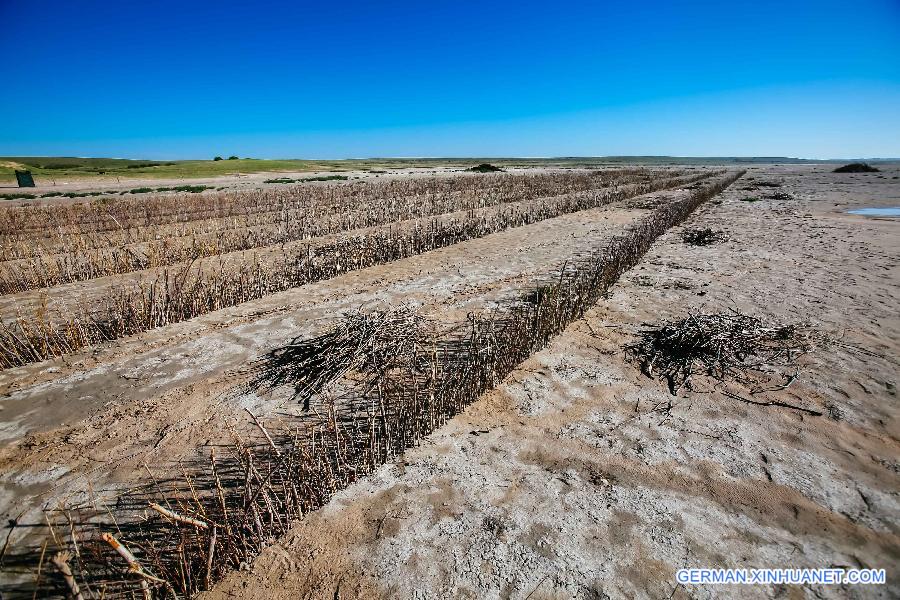 CHINA-INNER MONGOLIA-ZHENGLAN QI-SAND CONTROL-VOLUNTEER (CN)