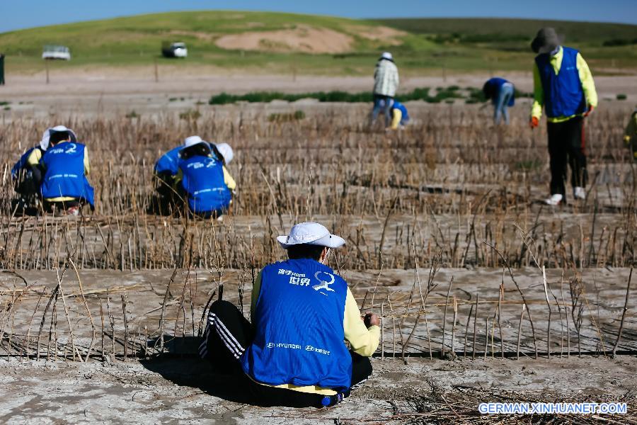 CHINA-INNER MONGOLIA-ZHENGLAN QI-SAND CONTROL-VOLUNTEER (CN)