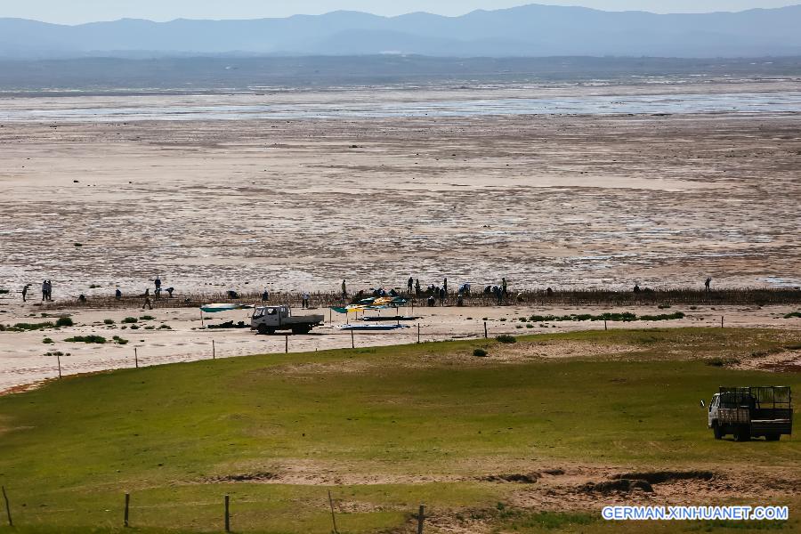 CHINA-INNER MONGOLIA-ZHENGLAN QI-SAND CONTROL-VOLUNTEER (CN)