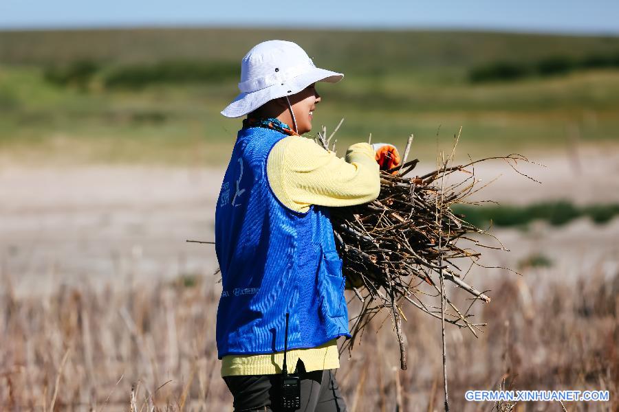 CHINA-INNER MONGOLIA-ZHENGLAN QI-SAND CONTROL-VOLUNTEER (CN)