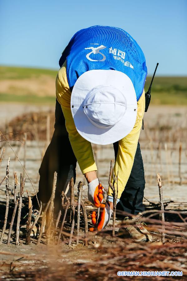 CHINA-INNER MONGOLIA-ZHENGLAN QI-SAND CONTROL-VOLUNTEER (CN)