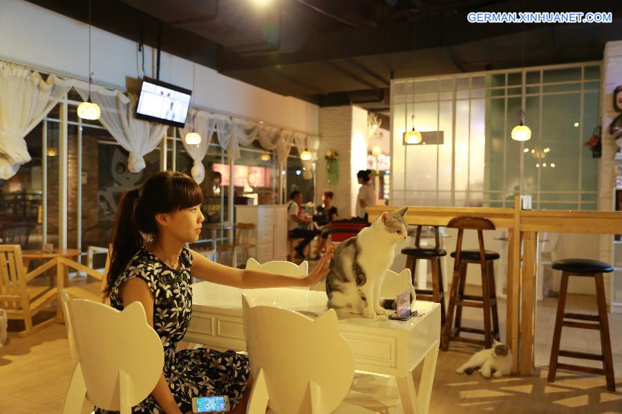 #CHINA-LIAONING-SHENYANG-CAFE-CAT (CN)