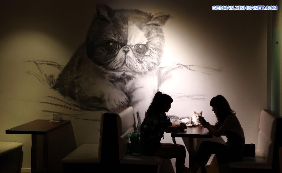 #CHINA-LIAONING-SHENYANG-CAFE-CAT (CN)