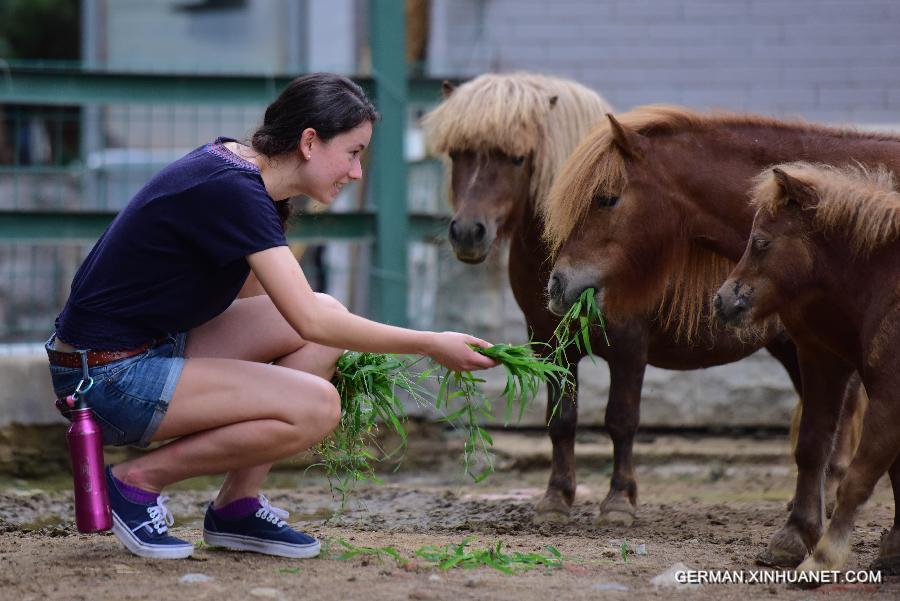 CHINA-SHANDONG-YANTAI-FOREIGN VOLUNTEER-ZOO (CN)