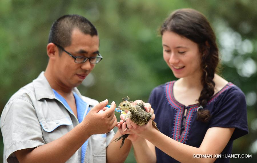 CHINA-SHANDONG-YANTAI-FOREIGN VOLUNTEER-ZOO (CN)