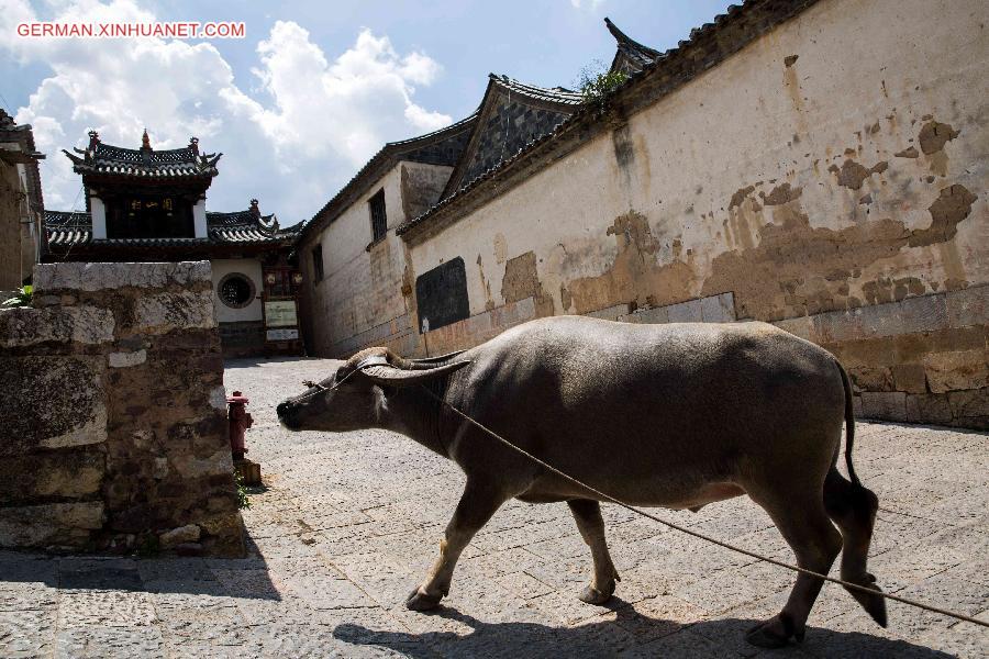 #CHINA-YUNNAN-HONGHE-TUANSHAN VILLAGE (CN)