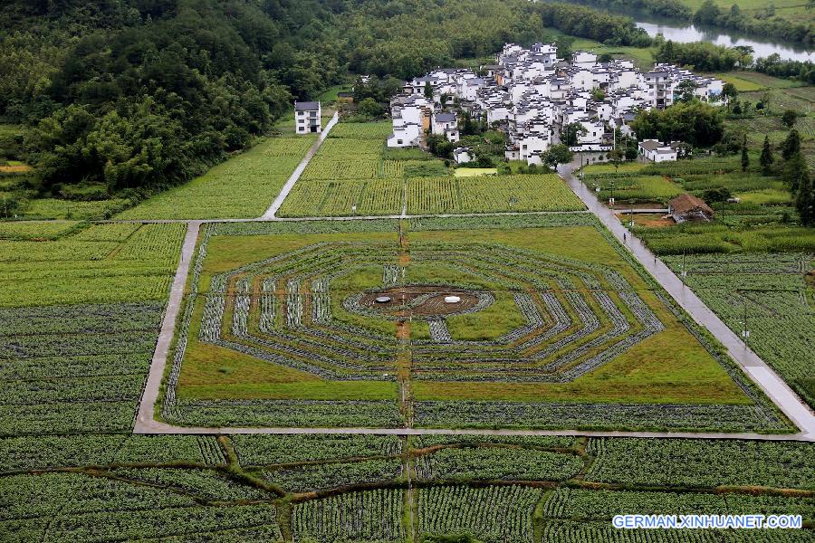 #CHINA-ANHUI-HUANGSHAN-BAGUA FIELD