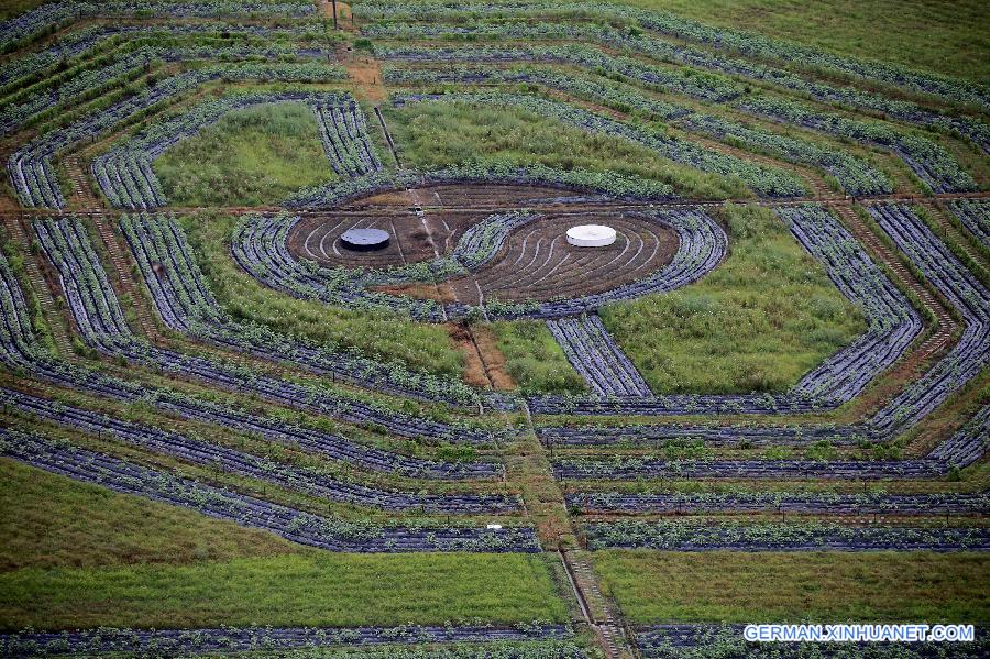 #CHINA-ANHUI-HUANGSHAN-BAGUA FIELD