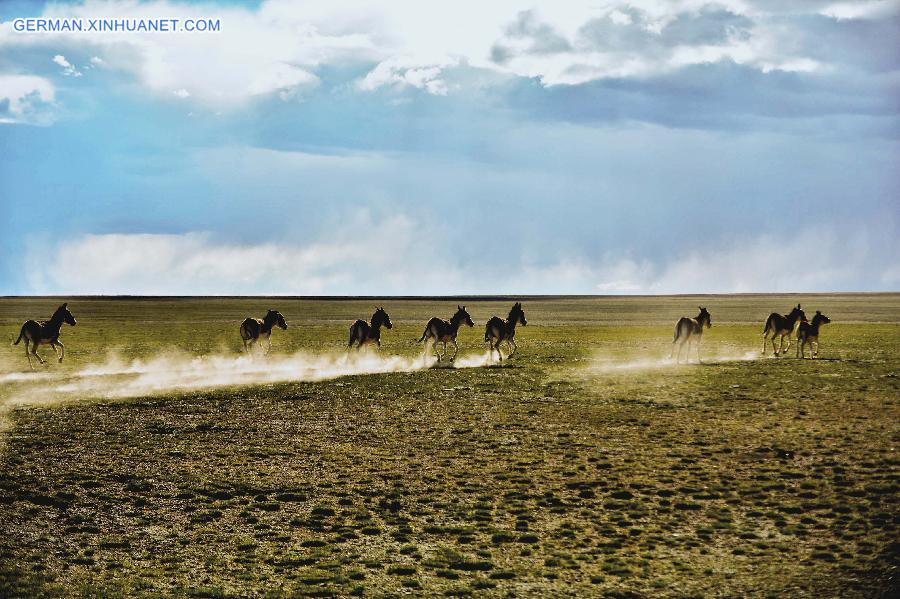 CHINA-TIBET-NATURE (CN)