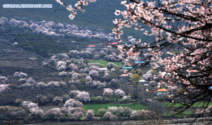 CHINA-TIBET-NATURE (CN)