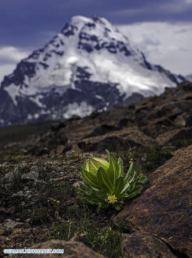 CHINA-XINJIANG-MOUNT BOGDA(CN)