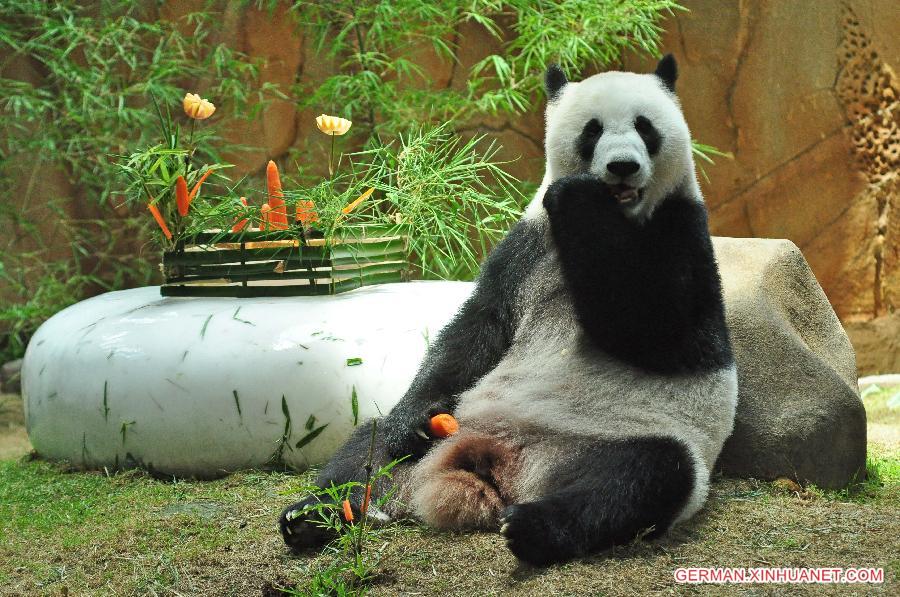 MALAYSIA-KUALA LUMPUR-GIANT PANDA-LIANG LIANG