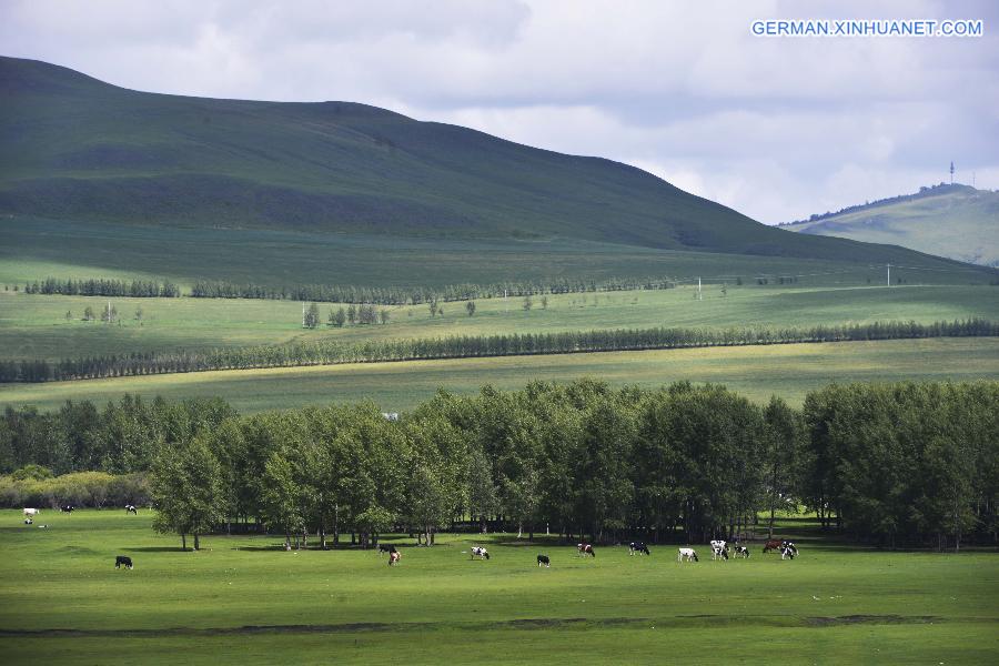 #CHINA-INNER MONGOLIA-HULUN BUIR-SCENERY (CN) 