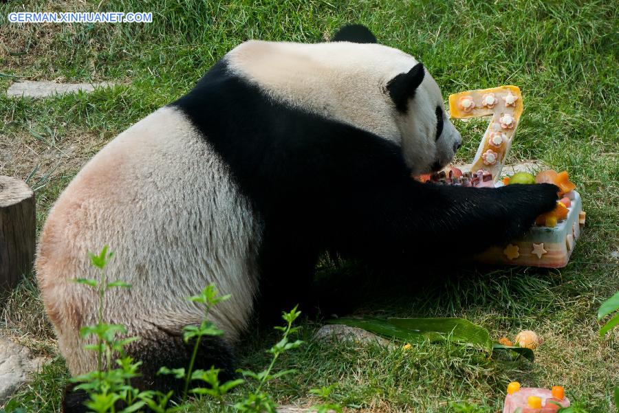 CHINA-MACAO-GIANT PANDA-BIRTHDAY(CN)