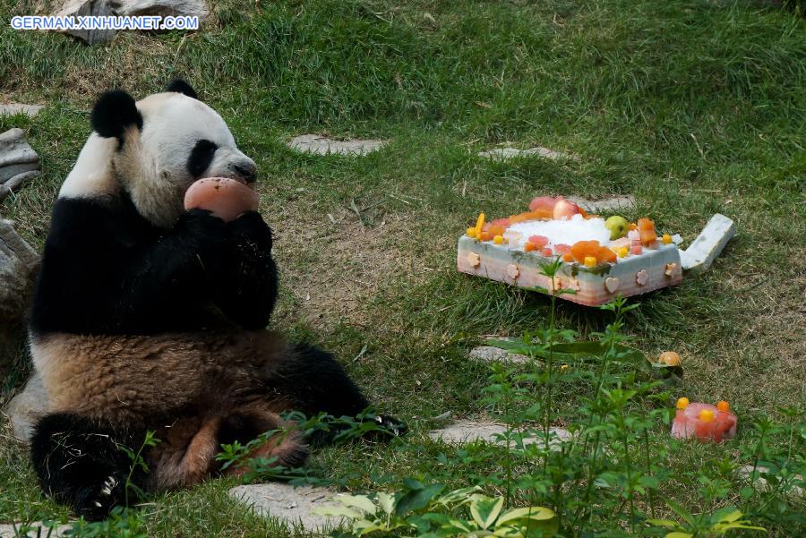 CHINA-MACAO-GIANT PANDA-BIRTHDAY(CN)