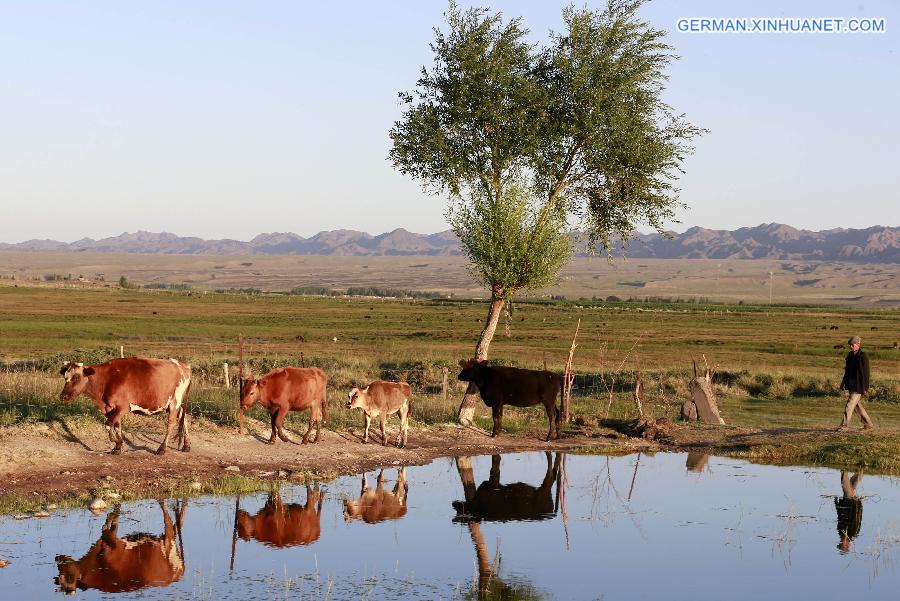 #CHINA-XINJIANG-HAMI-BARKOL GRASSLAND-SCENERY(CN)