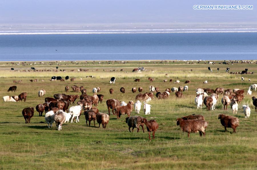 #CHINA-XINJIANG-HAMI-BARKOL GRASSLAND-SCENERY(CN)