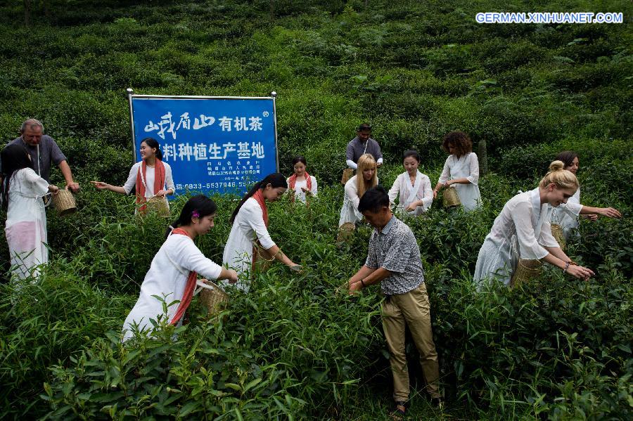 CHINA-SICHUAN-EMEISHAN-TEA CULTURE(CN)