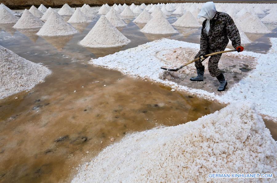 #CHINA-GANSU-YANCHI VILLAGE-SALT HARVEST(CN)