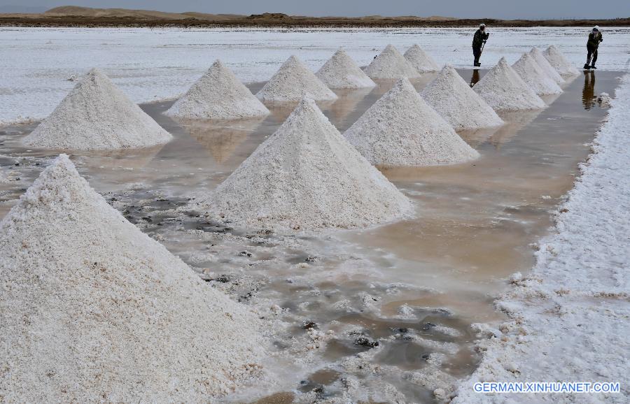 #CHINA-GANSU-YANCHI VILLAGE-SALT HARVEST(CN)