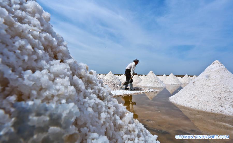 #CHINA-GANSU-YANCHI VILLAGE-SALT HARVEST(CN)