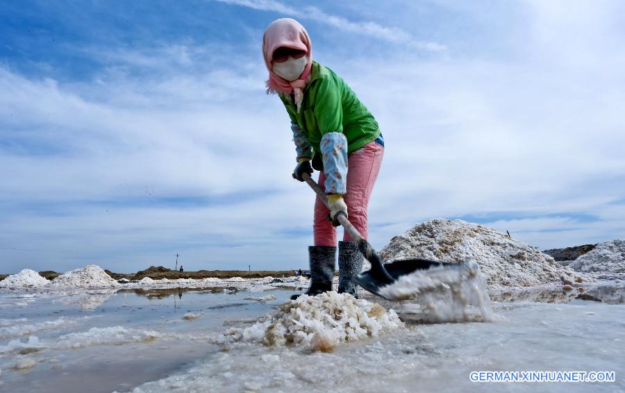 #CHINA-GANSU-YANCHI VILLAGE-SALT HARVEST(CN)