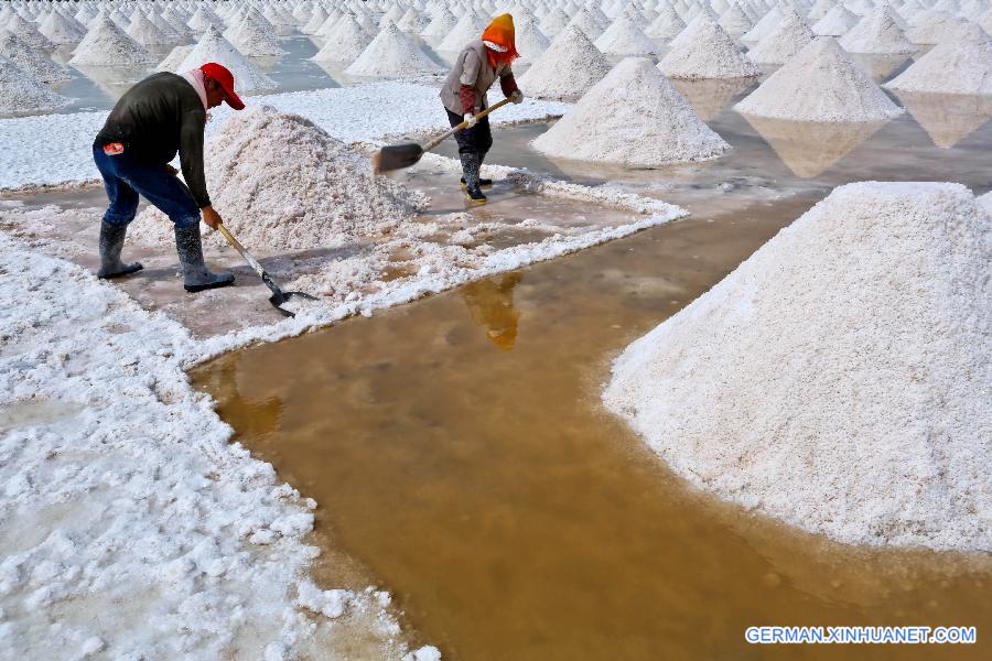 #CHINA-GANSU-YANCHI VILLAGE-SALT HARVEST(CN)