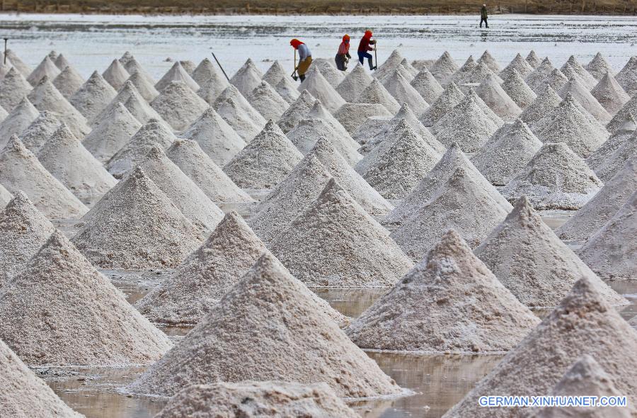 #CHINA-GANSU-YANCHI VILLAGE-SALT HARVEST(CN)