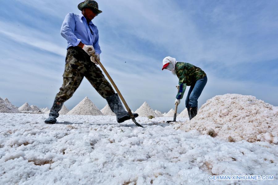 #CHINA-GANSU-YANCHI VILLAGE-SALT HARVEST(CN)