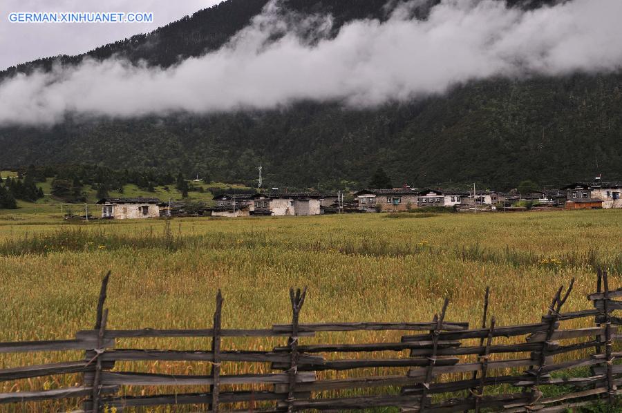 CHINA-TIBET-GREEN ENVIRONMENT (CN)