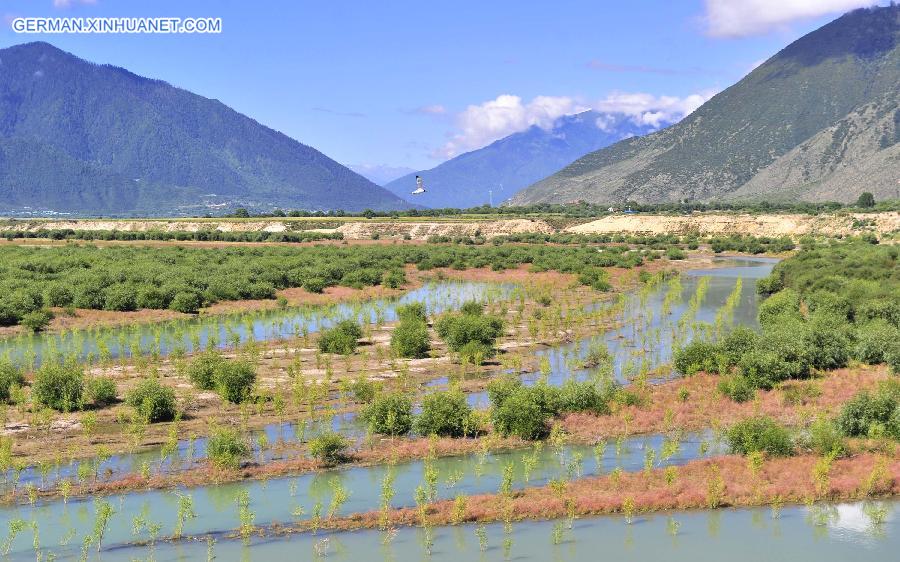 CHINA-TIBET-GREEN ENVIRONMENT (CN)